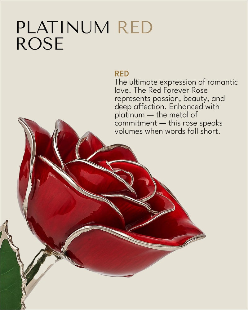 Forever Rose Real Red Rose with Platinum Trimmed Petals and Platinum Stem, Handcrafted Preserved Rose in Luxury Gold Gift Box, Romantic Gift for Her, Elegant Gift for Any Occasion - Image 2